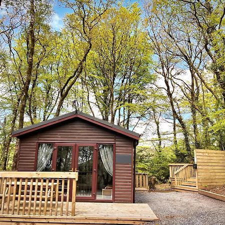 Woodland View -Hot Tub-Tenby-Carmarthen-St Clears Extérieur photo
