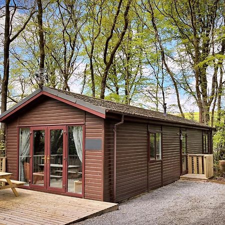 Woodland View -Hot Tub-Tenby-Carmarthen-St Clears Extérieur photo