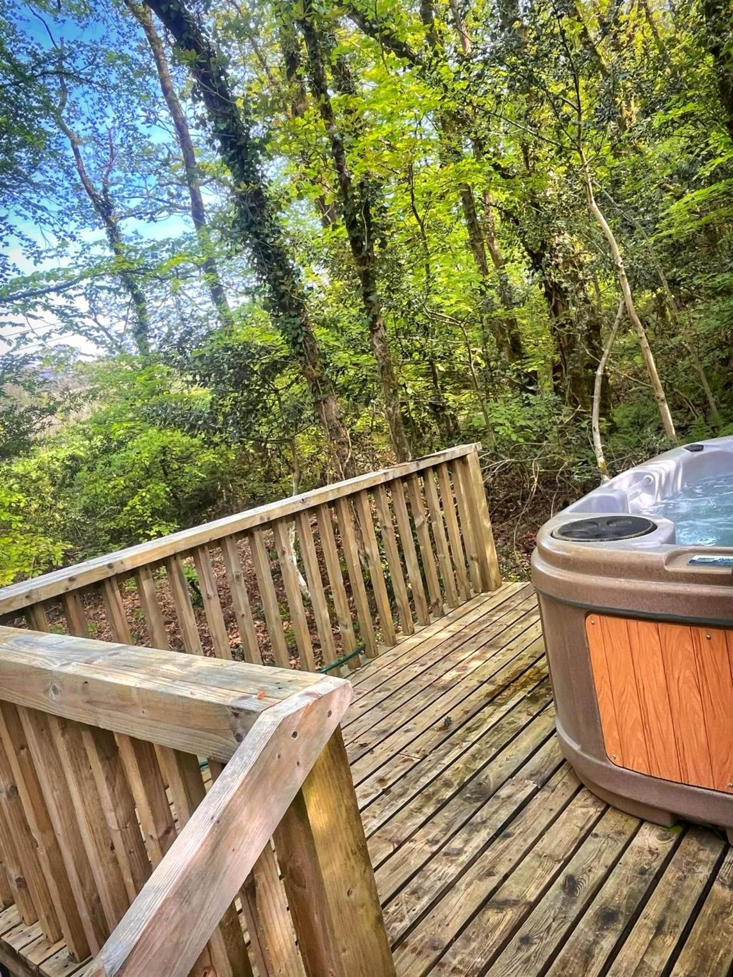 Woodland View -Hot Tub-Tenby-Carmarthen-St Clears Extérieur photo
